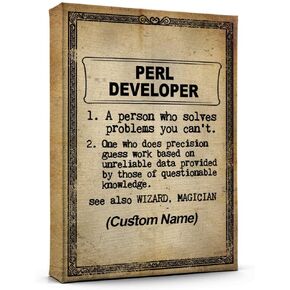 Customize Name Perl Developer Definition Print Poster Wall Art, Perl Developer Canvas Poster Ready to Hang Artwork Gift for Him, Her 12AZ2065