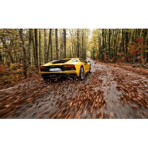 Wall Art Impact 39x24in Photo Paper Lambo Aventador yellow rear, fall, Luxury Cars