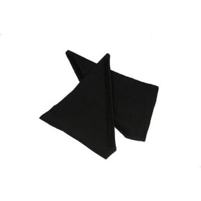 Teleprompter Side Curtains