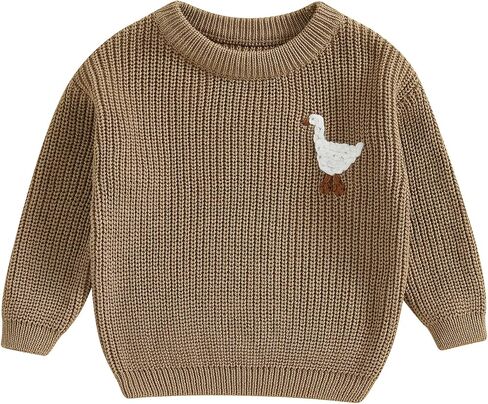 Toddler Baby Boy Girl Winter Clothes Silly Goose Baby Sweater Long Sleeve Knit Sweatshirt Chunky Sweater Fall Outfits in Saudi Arabia