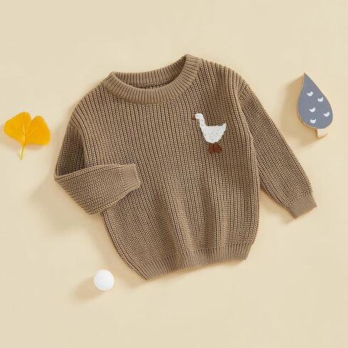 Toddler Baby Boy Girl Winter Clothes Silly Goose Baby Sweater Long Sleeve Knit Sweatshirt Chunky Sweater Fall Outfits in Saudi Arabia