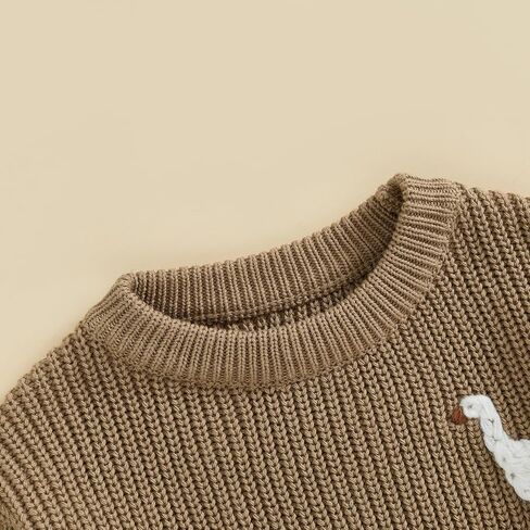 Toddler Baby Boy Girl Winter Clothes Silly Goose Baby Sweater Long Sleeve Knit Sweatshirt Chunky Sweater Fall Outfits in Saudi Arabia