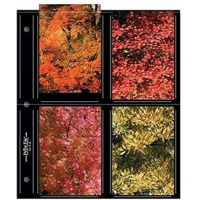 Print File Photo Pages Holds Eight 3 1/2x5" Prints, with Black Background, Pack of 25