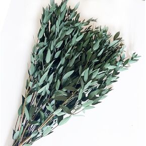 Preserved Dried Eucalyptus Greenery Stems, 20+ Pcs 16 inches Natural Long Lasting Eucalyptus Bundles for Vase Arrangements Home Decoration Photo Props Parties and Weddings, DIY Décor-Blue