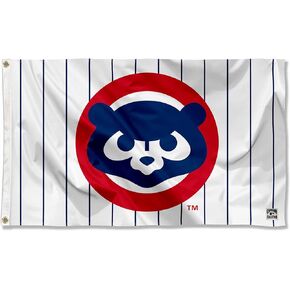Chicago Baseball Vintage and Banner