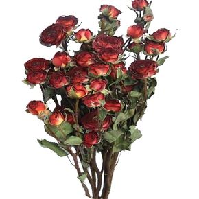 Natural Dried Flowers Bouquet Mini Dried Roses for Wedding Table Vase Decor Boho DIY Wreath Floral Home Office Party Garden Decoration