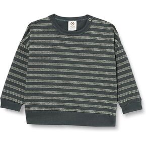 Striped Sweatshirt Pullover Sweater for Baby Boys-Organic Cotton Blend, Easy Changes, Machine Washable (Balance Green/Poetry Green color, Size 2Y)