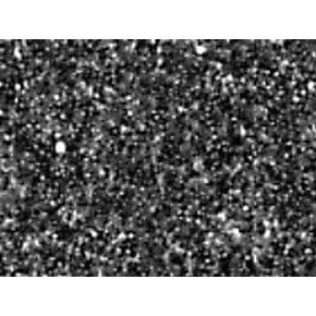 Steel Shot Cleaning Media (170 SAE Size, #20 & 25 Screen, 50 Lb. Pail)