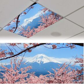 RoseFace 2PCS Fluorescent Light Covers for Classroom Ceiling Lights Magnetic Light Covers,Fluorescent Light Filters for School Home Office Drop Ceiling Lamp Decor Light Filters 4x2Feet（Starry Moon）