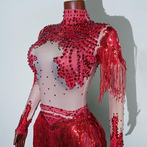 2 Pieces Sequin Tassel Bodysuit Women Sexy Gold Long Sleeve Fringe Latin DS Stage Costume Performance Nightclub Bar Dj Singe (slive) in Kuwait