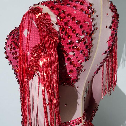 2 Pieces Sequin Tassel Bodysuit Women Sexy Gold Long Sleeve Fringe Latin DS Stage Costume Performance Nightclub Bar Dj Singe (slive) in Kuwait