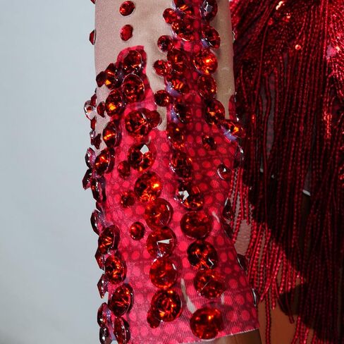 2 Pieces Sequin Tassel Bodysuit Women Sexy Gold Long Sleeve Fringe Latin DS Stage Costume Performance Nightclub Bar Dj Singe (slive) in Kuwait