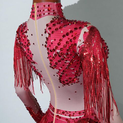 2 Pieces Sequin Tassel Bodysuit Women Sexy Gold Long Sleeve Fringe Latin DS Stage Costume Performance Nightclub Bar Dj Singe (slive) in Kuwait