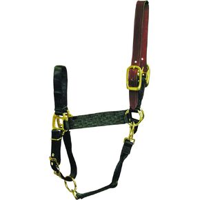 Hamilton 1-Inch Nylon Adjustable Horse Halter with Leather headpoll and Throat Snap, Average Size 800 to 1100-Pound, Green