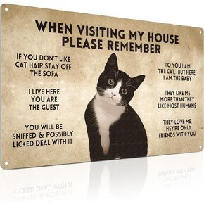 Guitar Art Black Cat Sign - Thats What I Do I Play Guitar and I Know Things 8x12 Inch - Guitar Player Gift Ideas