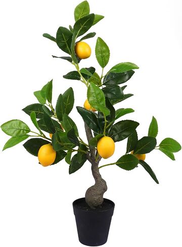 Artificial Lemon Tree, 2 Feet Fake Lemon Plant, Pre Potted Faux Lemon Tree, Plastic Lemon Fruit Tree for Home Decor Living Room Office, 2 Pieces in Saudi Arabia