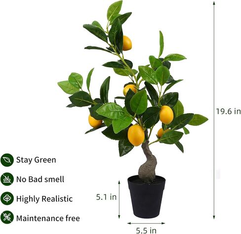 Artificial Lemon Tree, 2 Feet Fake Lemon Plant, Pre Potted Faux Lemon Tree, Plastic Lemon Fruit Tree for Home Decor Living Room Office, 2 Pieces in Saudi Arabia