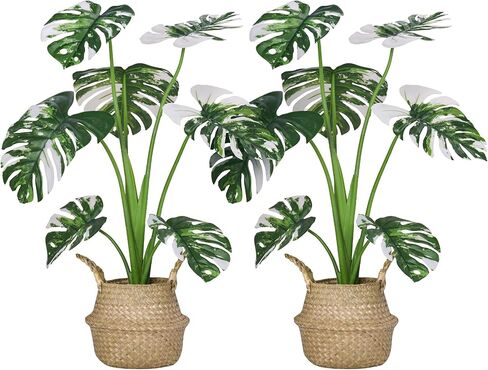35 بوصة 2 حزمة من النباتات الاصطناعية، نباتات Monstera Deliciosa المزيفة مع سلة أعشاب بحرية مصنوعة يدويًا، أشجار النخيل الاستوائية الصناعية لتزيين غرفة المنزل في الأماكن المغلقة والخارجية (عبوتان) in Kuwait