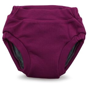 Kanga Care Ecoposh OBV Reusable Pull Up Toddler Underwear Potty Training Pants | Glacier Medium 2T/3T