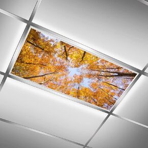 2PCS Fluorescent Light Covers - Magnetic, Filters for Classroom, Home, Office Drop Ceiling Lamps - 4x2Feet (Cloud)