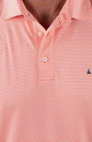 Tailor Vintage UPF Polyester Jersey Micro-Stripe Polo(, Alpha, Regular, Regular, Skyway Micro Stripe, Large), Skyway Micro Stripe, L in Saudi Arabia