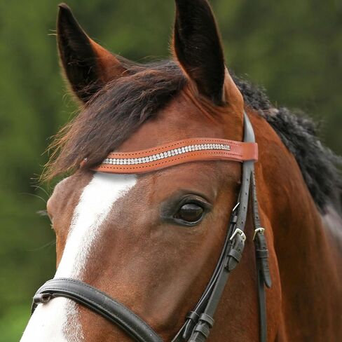 Harrison Howard Curved Padded Diamond Decorated Leather Browband for Horse Bridles Bling browband Black Large in Saudi Arabia