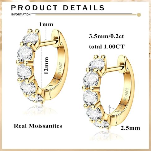 Blahanna Moissanite Hoop Earrings,2.0ct D Color Brilliant Round Cut Lab Created Diamond Earrings 18K White Gold Sterling Silver Huggie Earring for Women Men Wedding Earrings in Saudi Arabia