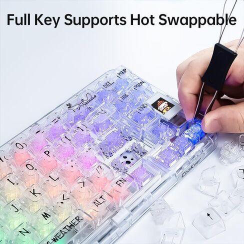 لوحة مفاتيح لاسلكية ثلاثية الأوضاع من CoolKiller CK68، لوحة مفاتيح ألعاب قابلة للتبديل السريع مع إضاءة خلفية RGB، لوحة مفاتيح ميكانيكية مع هياكل حشية لنظام التشغيل Windows/Mac (مفاتيح كتم الصوت البيضاء والثلجية) in Kuwait