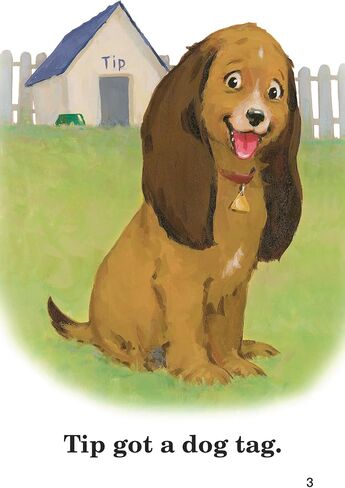 Animal Friends Books 1-8 - Abeka K4 4 Year Old Kindergarten Phonics Reading Program Student Reader in Saudi Arabia