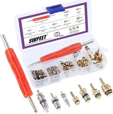 طقم أساسي لصمام تكييف الهواء 40 قطعة من Swpeet، A/C R12 R134a صمام جذعي لإطارات التبريد مع أداة إزالة لمعظم السيارات in Saudi Arabia