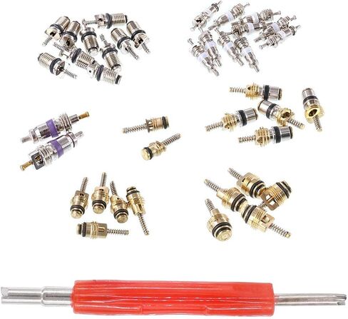 طقم أساسي لصمام تكييف الهواء 40 قطعة من Swpeet، A/C R12 R134a صمام جذعي لإطارات التبريد مع أداة إزالة لمعظم السيارات in Saudi Arabia