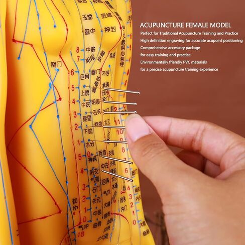 Acupuncture Model with Chart Kit (Women Style), Acupoint Mannequin Pressure Point Acupuncture Model - 53cm Standing Height in Saudi Arabia