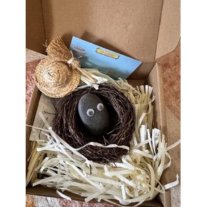 2pc Pebble Pet مع عش العشب والزخرف ، هدية جديدة لنفسك ، الأطفال والأصدقاء والعائلة