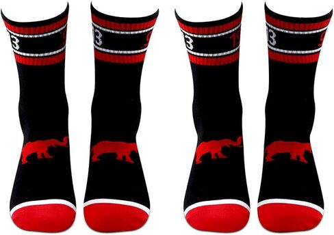 LEVLO Sister Sorority Socks Elephant 1913 Sorority Sister Socks Gift Sister Birthday Socks in Saudi Arabia