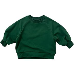 Toddler Kids Boys Solid Cotton Thin Pullover Sweatshirt Toddler Baby Basic Crewneck Long Sleeve (Green, 6-12 Months)