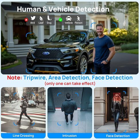 فيكيلين تتبع تلقائي بي تي زد in Kuwait