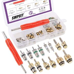 Swpeet 41Pcs R12 / R134a AC Master Valve Core Repair Kit, Including Assortment R12 R134a Valve Core Refrigeration Tire Valve Stem Cores with Remover Tool for Most Cars