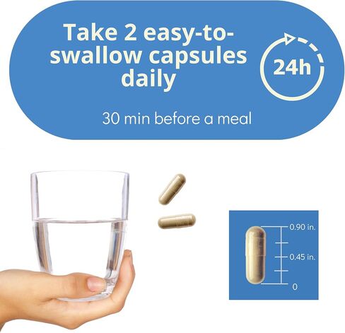 مكمل دعم Anathapindika Super Brain Health 6 في 1، الذاكرة، التركيز والوضوح، فطر عرف الأسد، غوتو كولا، الكولين، الشمندر والمزيد! in Saudi Arabia