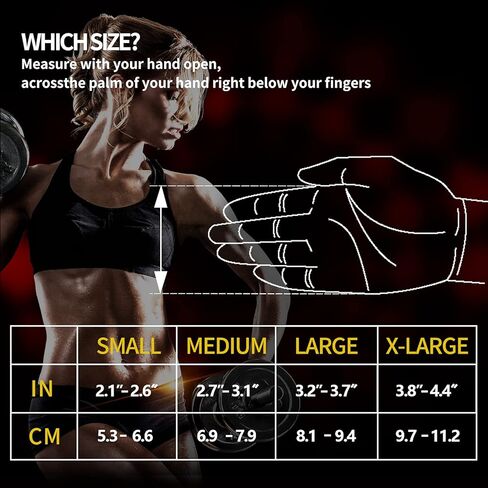 B-Forest Workout Gloves, Gym Gloves for Men Women Weight Lifting Fingerless Gloves for Training, Exercise, Fitness in Kuwait