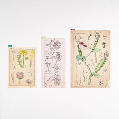إكسسوارات Hobonichi Techo Tomitaro Makino: لوحة أقلام Hobonichi بحجم A5 (Tomitaro Makino) in Saudi Arabia