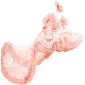 KLFFLGID Baby Flower Girl Pageant Dress Butterfly Embroidered Sequin lace Toddler Formal Wedding Party Dress 6M-6T
