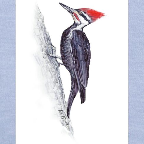 CafePress Pileated Woodpecker Toddler T Shirt Cute Toddler Graphic Tee, 100% Cotton in Kuwait