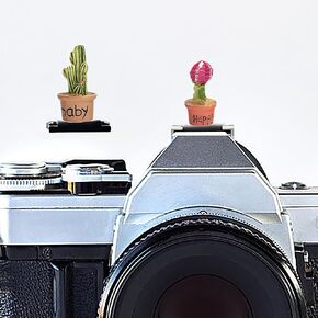 غطاء الحذاء الساخن ، قبعة حذاء ساخن ، واقي حذاء ساخن متوافق مع Sony Fujifilm Fuji Canon Nikon Pentax Leical Panasonic (2pcs Cat) in Kuwait