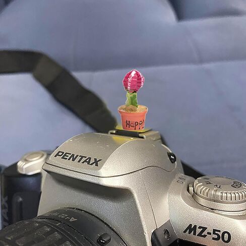 غطاء الحذاء الساخن ، قبعة حذاء ساخن ، واقي حذاء ساخن متوافق مع Sony Fujifilm Fuji Canon Nikon Pentax Leical Panasonic (2pcs Cat) in Kuwait