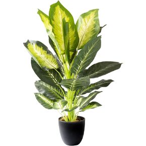 Royal Imports Artificial Golden Dieffenbachia Plant, Tropical Life-Like Tree, Dark Green in Decorative Planter - 34" Tall