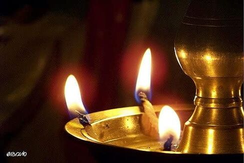 ديا باتي (فتائل قطنية طبيعية) مصنوعة يدويًا لبوجا، ديكور المنزل في المهرجانات، فتيل مصباح زيت ديوالي (100 قطعة من فتائل القطن الطويلة) in Kuwait