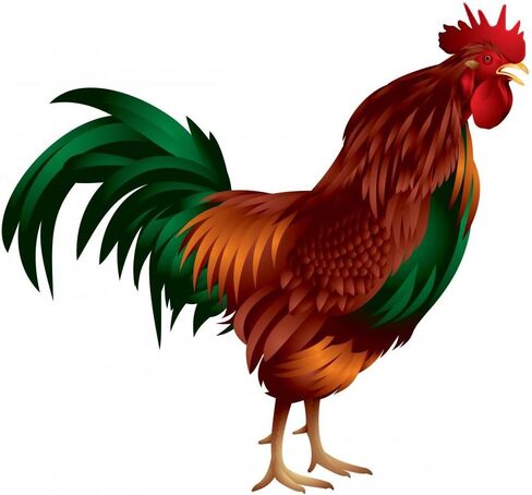 ملصق جداري بتصميم الديك قابل للتقشير واللصق (12 بوصة عرض × 11 بوصة ارتفاع) WM44433 in Kuwait