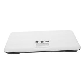 Multi-Function Electronic Scale Digital Display Weight for Fish Portable Pet Scale