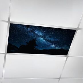 4 Pack Fluorescent Light Covers for Ceiling Lights Forest Full Moon Night Scenic Night Landscape Large Moon Long Magnetic Light Filters Diffuser Shade for Classroom Home Office School