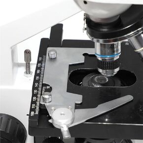 XP200 Trinocular Binocular Microscope - 40X-1600X Educational Science Lab Microscope with 12.5X Phone Holder(Trinocular)